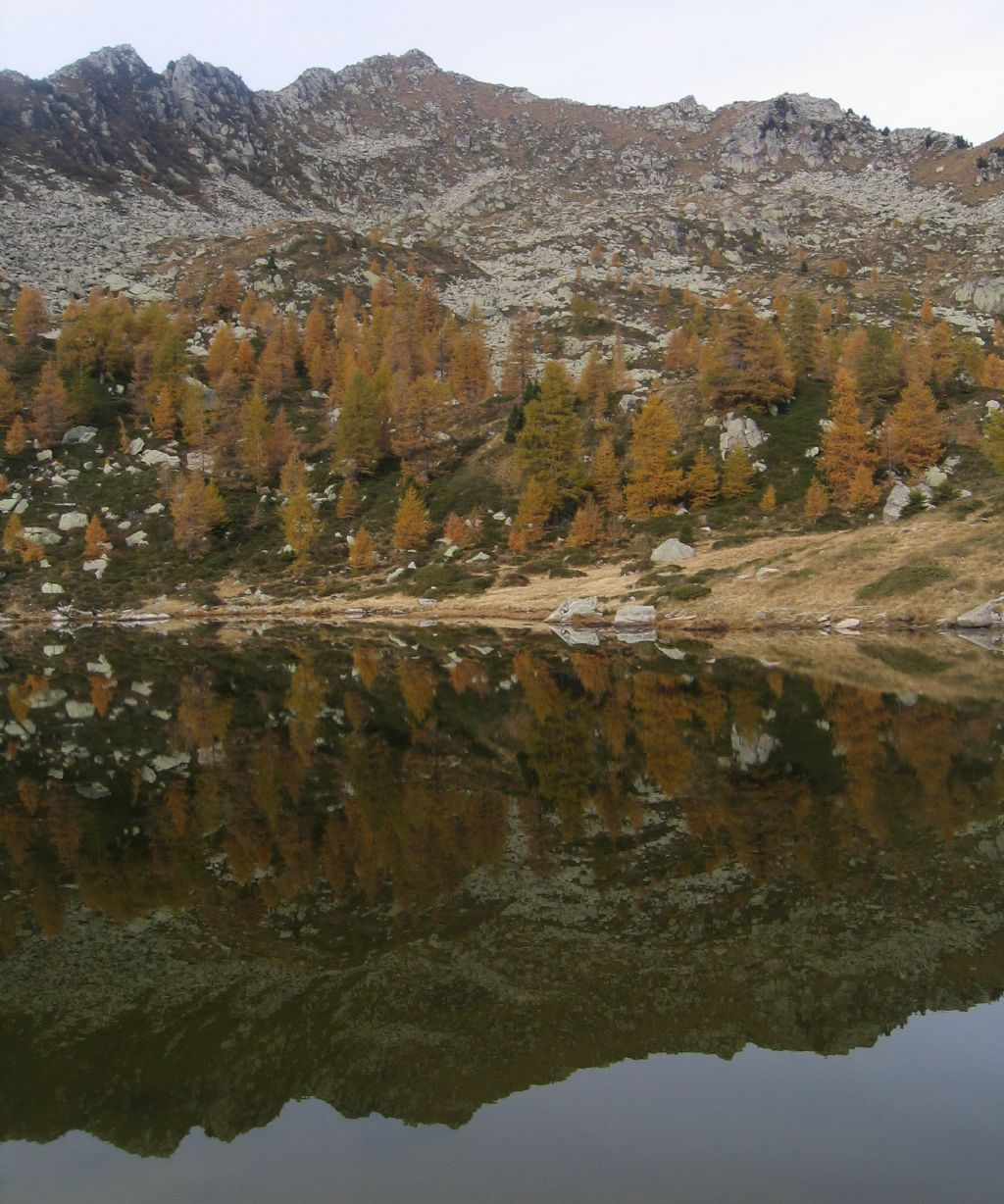 Laghi.......del TRENTINO